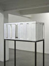 1 - Labyrinth, 2011